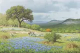 Don Warren, Landscape with Bluebonnets, Oil on canvas