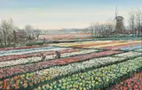 William Leendert van Dijk, Tulip Fields in the Netherlands, Oil on canvas