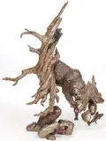Mark Hopkins, Spawning Grounds