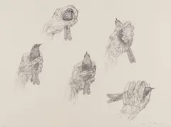 Untitled by Kiki Smith, Lithograph, sold Nov 2023