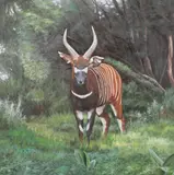 Ron Balaban, A Greater Qudu in Grassland, Oil on canvas