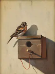 Jack Hartert, Finch Perched on Birdhouse, Oil on board