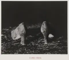Lorna Simpson, Cure/Heal, Serigraph