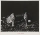 Lorna Simpson, Cure/Heal