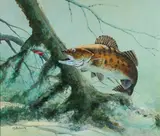 Scott Heistand, Taking the Bait, Oil on illustration board