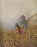 Kingfishers by Continental School, Oil on artists' board, sold Dec 2022
