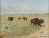 Herman Augustus Gustav Berk, Bison on the Great Plain -, Oil on canvas