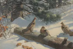 Aiden Lassell Ripley, Grouse on a Log -, Oil on canvas
