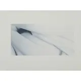Alison Watt, SHOAL, 2013, Screenprint, 36/40