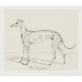 Elizabeth Blackadder, THE CHAMPION, Etching, 7/50