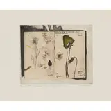 Victoria Crowe, DRAWN FROM NATURE: VIOLET AND BOG PALUSTUS, silkscreen and chine colle, 20/30