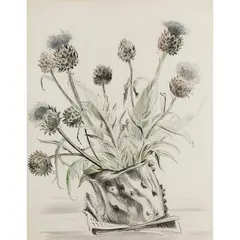 Enid Marx, THISTLES, 1943, mixed media