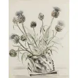 Enid Marx, THISTLES, 1943, mixed media