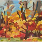 Shona Barr, AUTUMN BEECH TREES, Oil on canvas