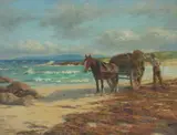 John McGhie, GATHERING KELP