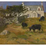 David McClure, CROFT WITH BLACK COWS, STOER, oil on board