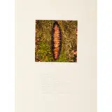 Andy Goldsworthy, Series of Seven Works, 1987-94, 6 c-prints and one work with traces of snow and dirt on paper, comprising: