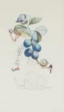 PRUNIER HÂTIF (HASTY PLUM) by Salvador Dalí, Lithograph and drypoint, 132/200, sold Aug 2022