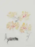 Elizabeth Blackadder, HIBISCUS & CATS