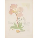 REUBEN, FROM 'TWELVE TRIBES OF ISRAEL' by Salvador Dalí, 1973, Etching with colour stencil, 125/195, sold Aug 2022