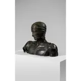 Igor Mitoraj, Argos, bronze