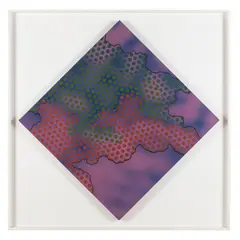 Harold Cohen, Caradhras, 1967, acrylic on canvas
