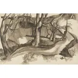 William Crosbie, IRISH TREE, 1952, ink and wash