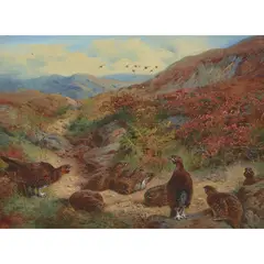 Archibald Thorburn, A COVEY OF GROUSE AMONGST THE BRACKEN, watercolour and gouache