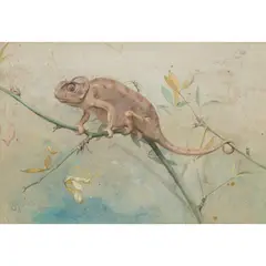 Edwin John Alexander, CHAMELEON, watercolour on buff paper