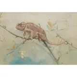 Edwin John Alexander, CHAMELEON, watercolour on buff paper