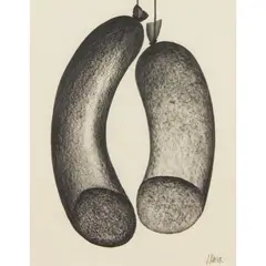 Jack Knox, SAUSAGES, pencil
