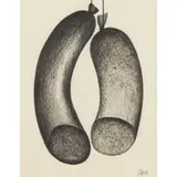 Jack Knox, SAUSAGES