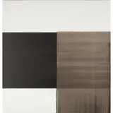 Callum Innes, EXPOSED PAINTING, 2004, oil on canvas