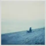 Nan Goldin, COUPLE ON THE BLUE BEACH