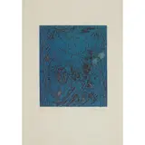 Stanley William Hayter, NIGHT FOREST - 1963/65, Colour etching, 1/6