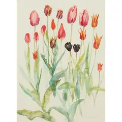 ROSCULLEN TULIPS by Jenny Matthews, watercolour, sold Aug 2021