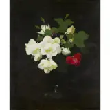 Stuart Park, STILL LIFE WITH RED AND WHITE ROSES