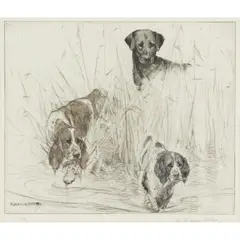 George Vernon Stokes, SOMETHING MOVED, Etching in colour