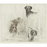 George Vernon Stokes, SOMETHING MOVED, Etching in colour