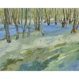 Frances Macdonald, BLUEBELL WOODS, DUNTRUNE