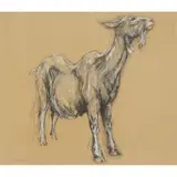 Claire Norrington, GOAT, 1997, chalk and pastel on buff-coloured paper