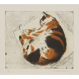 Elizabeth Blackadder, COCO SLEEPING, Etching, 20/80