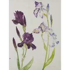 Elizabeth Blackadder, PURPLE IRISES, Lithograph, 35/60