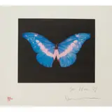 Damien Hirst, BLUE PINK BUTTERFLY (SMALL), 2008, ' signed and dedicated 'For Nan' in pencil