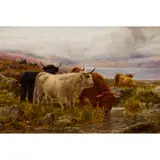 Robert Watson, HIGHLAND CATTLE WATERING ON A HILLSIDE, oil on canvas