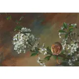 Archibald Thorburn, FIELD MOUSE AND BLOSSOM