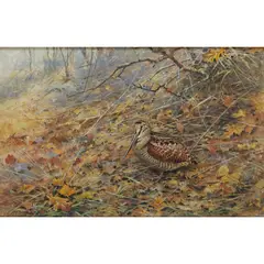 WOODCOCK IN UNDERGROWTH by George Edward Lodge, watercolour and gouache on buff paper, sold Dec 2021