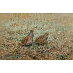 PARTRIDGE IN STUBBLE by George Edward Lodge, watercolour and gouache on buff paper, sold Dec 2021