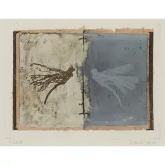 Victoria Crowe, ECHOED, Intaglio printing with mixed media and collage elements