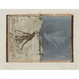 Victoria Crowe, ECHOED, Intaglio printing with mixed media and collage elements
